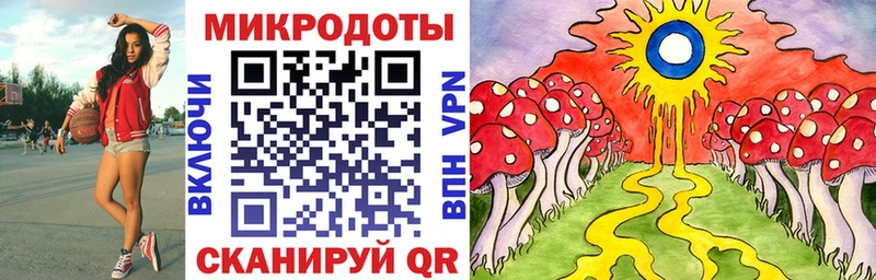 Псилоцибиновые грибы Psilocybe Южно-Сухокумск